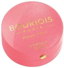 Bourjois Little Rount Pot Blush 095 Rose De Jaspe 22 Bourjois Little Rount Pot Blush 095 Rose De Jaspe -Cosmeticawinkel 1129x1200