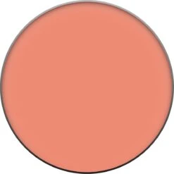 L’Oréal Paris True Match - 160 Pêche - Blush -Cosmeticawinkel 1199x1200 4