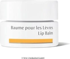 Dr. Hauschka Dr. Hauschka Lip Balm 4,5 Ml -Cosmeticawinkel 1200x1018 1