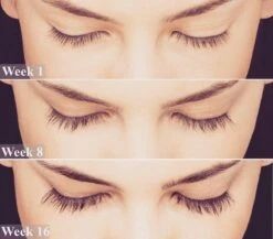 Lanthome Wimperserum - Met Castor Olie 10 Lanthome Wimperserum - Met Castor Olie -Cosmeticawinkel 1200x1056