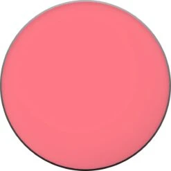 L'Oréal Paris True Match Blush - 165 Rose Bonne Mine 29 L'Oréal Paris True Match Blush - 165 Rose Bonne Mine -Cosmeticawinkel 1200x1200 287
