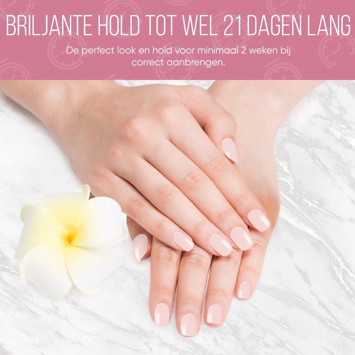 Lovae Cosmetics Gellak - 6-delige Set - Gel Nagellak - Pink Fashion - Gellac - 8ML 2 Lovae Cosmetics Gellak - 6-delige Set - Gel Nagellak - Pink Fashion - Gellac - 8ML - Afbeelding 2