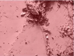 MAC Cosmetics Blush Mocha -Cosmeticawinkel 1200x906