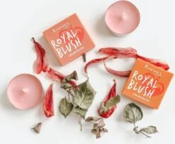 Rimmel London Rimmel - Royal Blush Cream Blush 4 G 002 Majestic Pink - 7 Rimmel London Rimmel - Royal Blush Cream Blush 4 G 002 Majestic Pink - -Cosmeticawinkel 1200x985